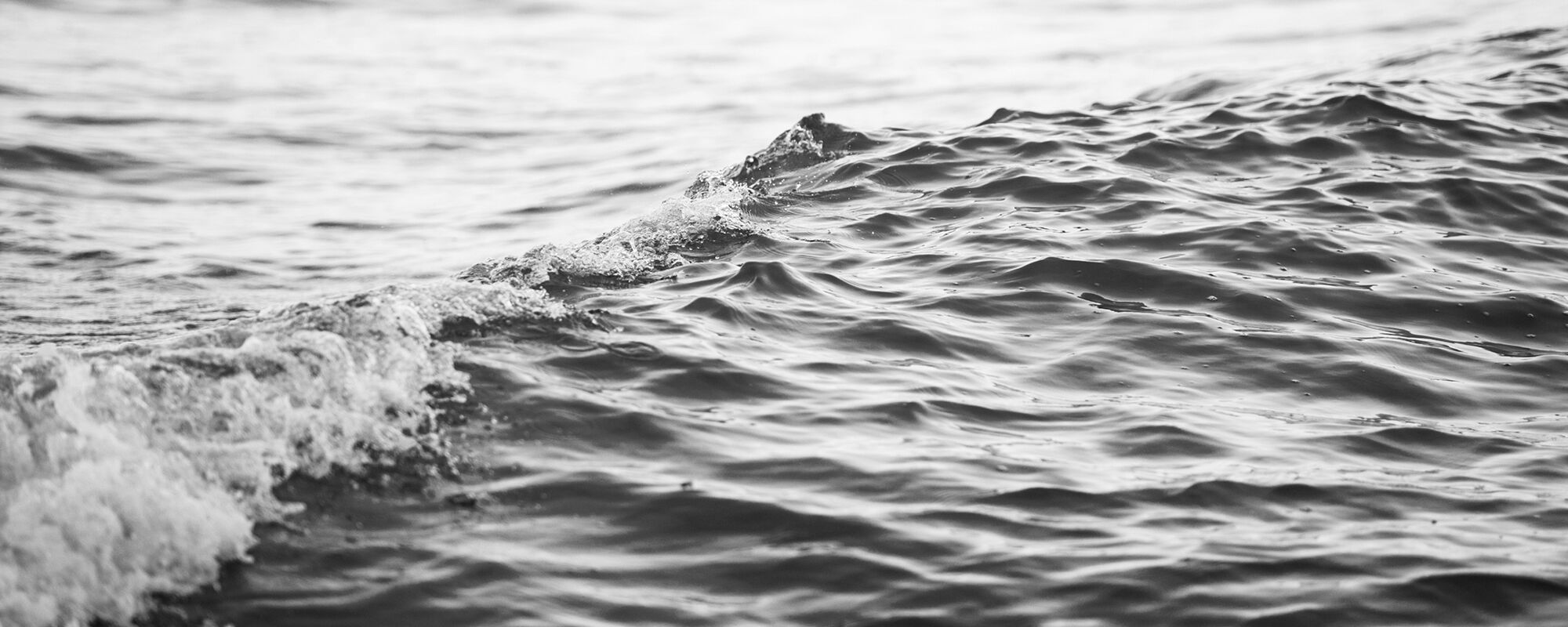 Product Image Pending for Whitehaven