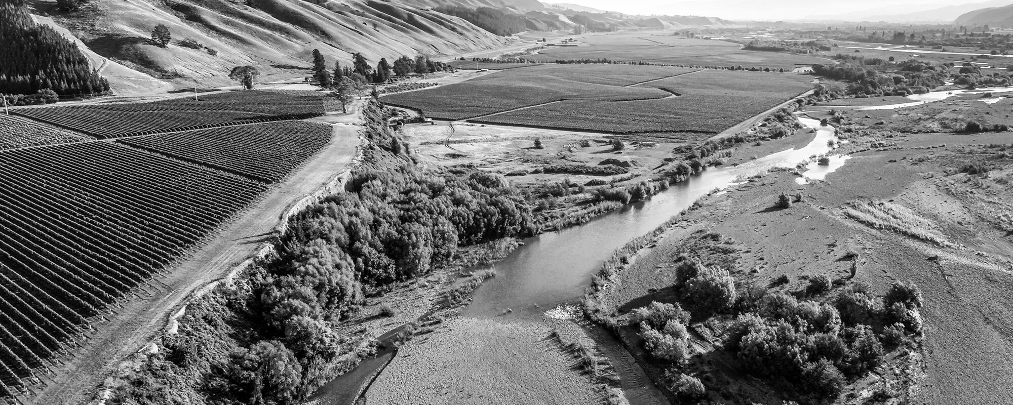 Product Image Pending for Whitehaven