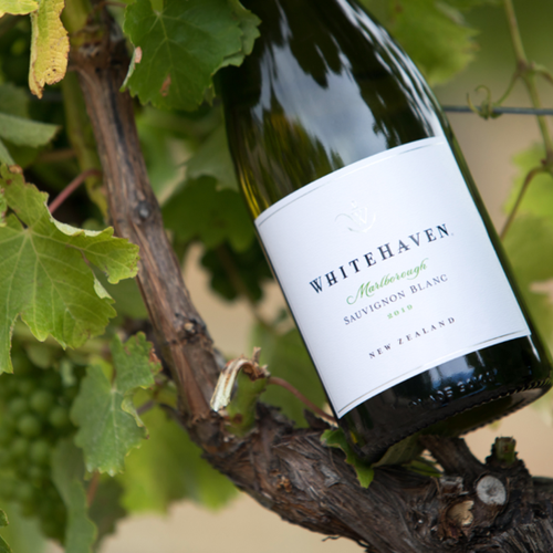 Whitehaven Discover Winemaking