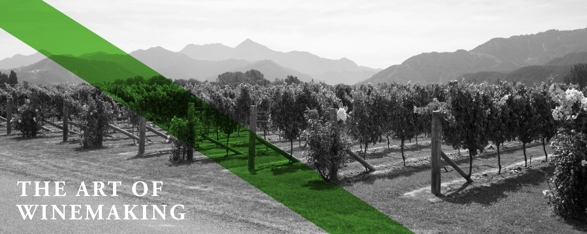 Product Image Pending for Whitehaven