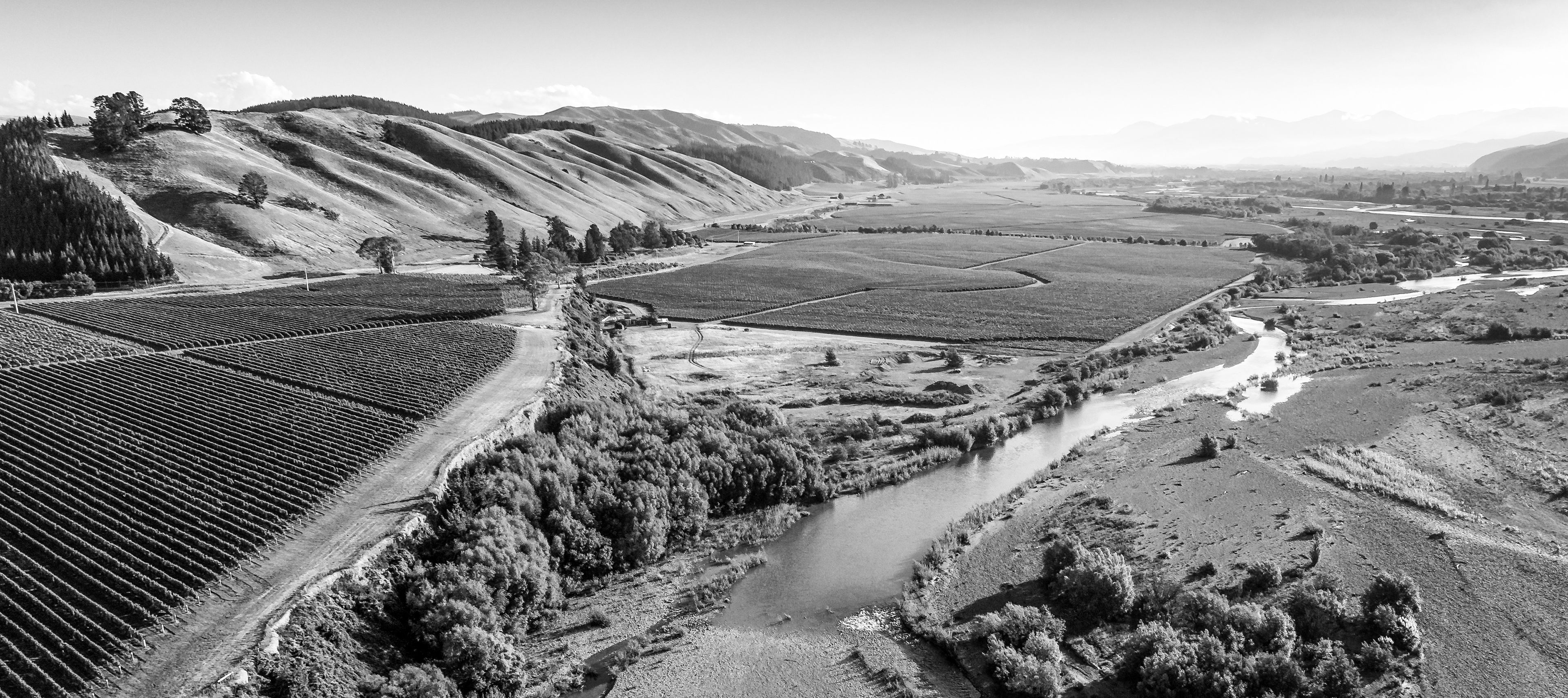 Product Image Pending for Whitehaven