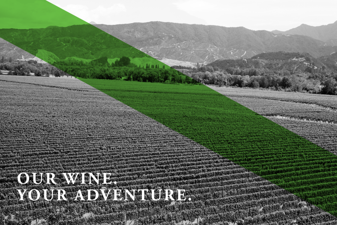 Product Image Pending for Whitehaven